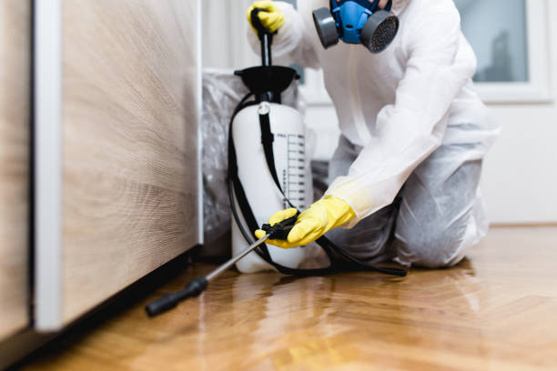 Best Flea Control Services  in Hazen, AR