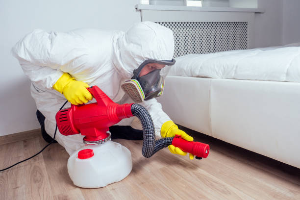 Flea Control Services in Hazen, AR