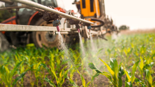 Best Pest Control Treatment  in Hazen, AR